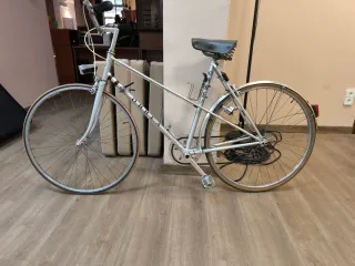 Bicicleta Orbea Vintage Plata