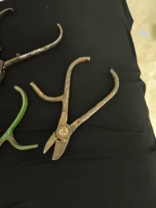 Alicates de campo, manzana