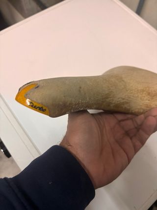 Sillín Selle Italia Turbo Magic 2