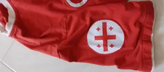 Maglia Georgia Rompetrol calcio