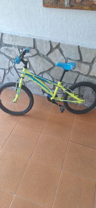 Bicicleta Infantil California 18