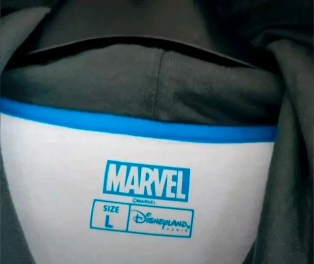 Sudadera Disneyland París Marvel Avengers