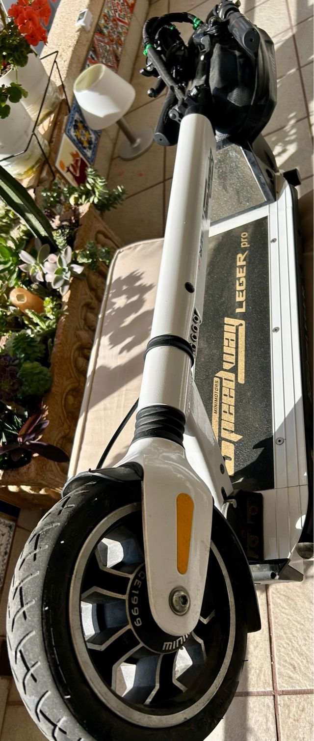 Patinete eléctrico Speedway Leger Pro