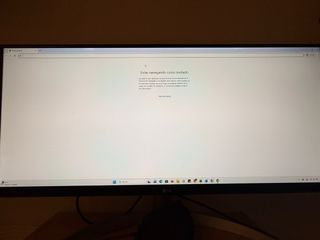 Monitor LG Negro/Plateado