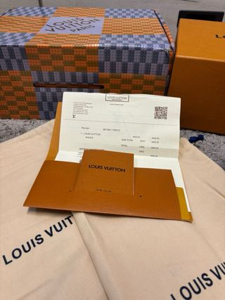 Louis Vuitton Skater