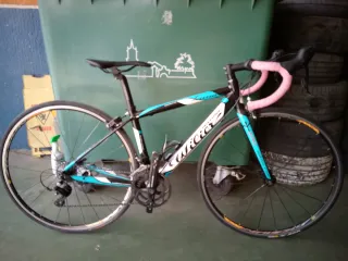 Bicicleta Wilier Luna Talla Pequeña