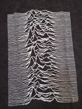 Camiseta negra Joy Division