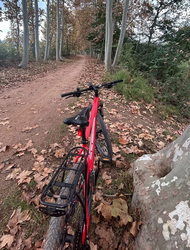 Bicicleta de Montaña Roja Sport 60-NTT 29"