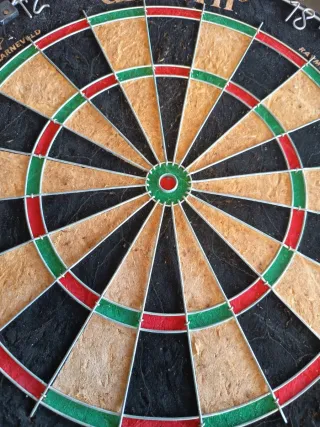 Diana de dardos Unicorn Raymond van Barneveld