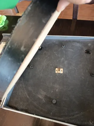 Diana de dardos Unicorn Raymond van Barneveld