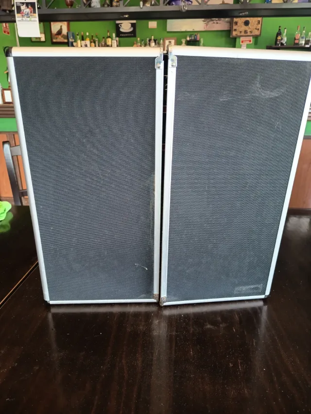 Diana de dardos Unicorn Raymond van Barneveld