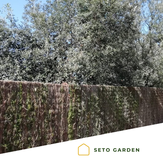 Brezo, Seto, Pérgola, etc