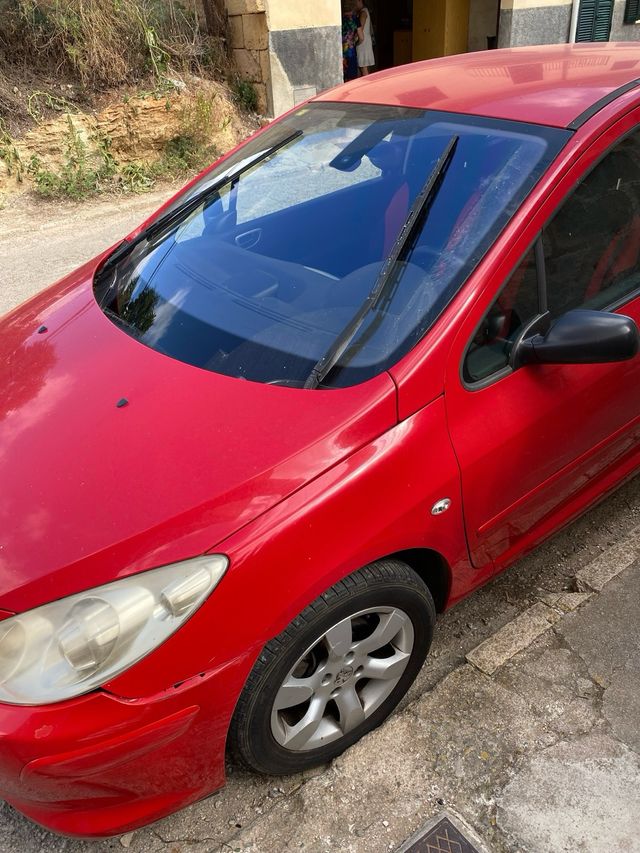Peugeot 307 XS 