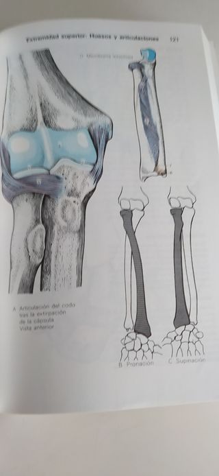 *ATLAS DE ANATOMIA, VOL.1: ANATOMIE, VOLUME I