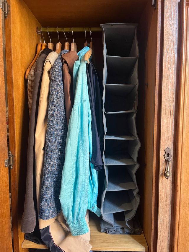 Organizador de armario colgante