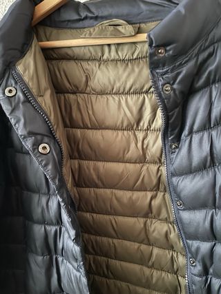 Plumas azul con interior verde