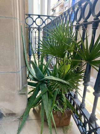 Piso en venta en Centro en San Sebastián-Donostia