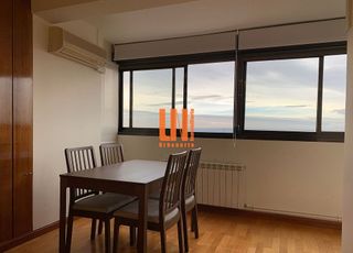 Piso en alquiler en Ciudad Universitaria en Madrid