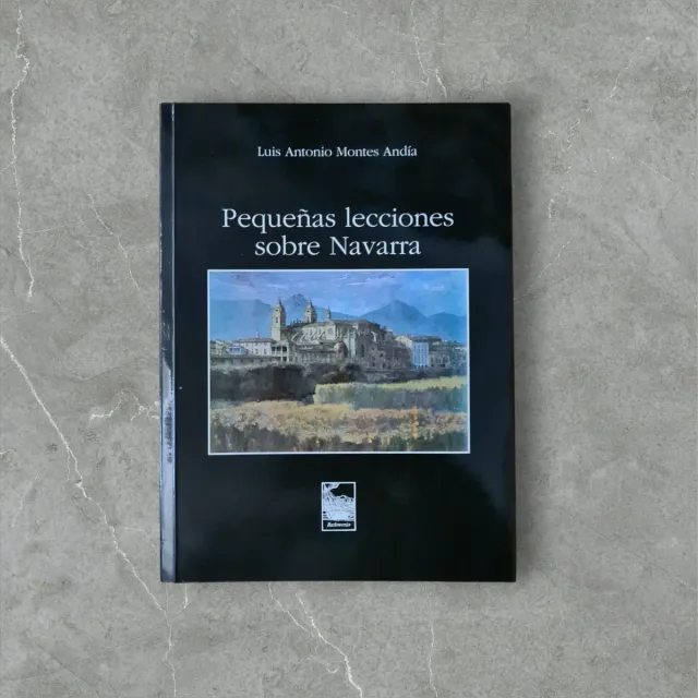 Libro Pequeñas lecciones sobre Navarra