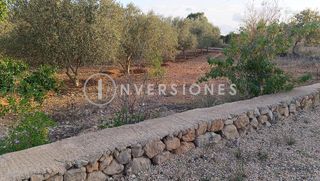 Terreno en venta en Llucmajor Interior en Llucmajor