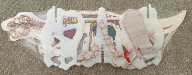 Óculos 3D Dinossauros Colecionável Jurassic Park