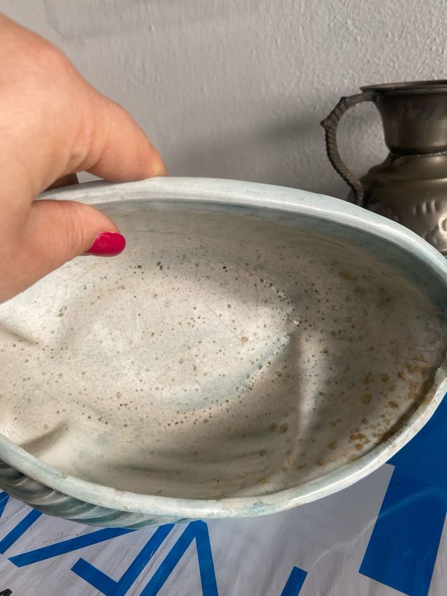 Vaso ceramica forma conchiglia