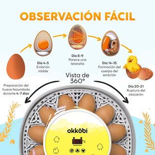 INCUBADORA AUTOMÁTICA DE HUEVOS