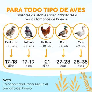 INCUBADORA AUTOMÁTICA DE HUEVOS