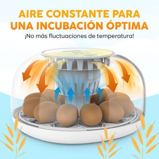 INCUBADORA AUTOMÁTICA DE HUEVOS