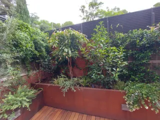 Jardinero para terrazas y patios en Barcelona