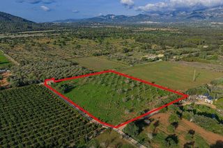 Solar en venta en Zona periurbana en Inca