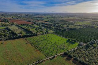 Solar en venta en Zona periurbana en Inca