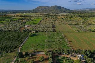 Solar en venta en Zona periurbana en Inca