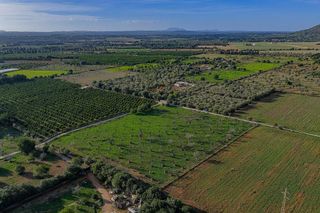 Solar en venta en Zona periurbana en Inca