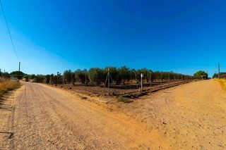 Solar en venta en Casco Antiguo - Centro en Badajoz