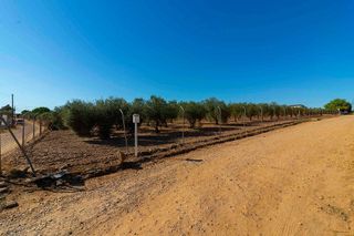 Solar en venta en Casco Antiguo - Centro en Badajoz
