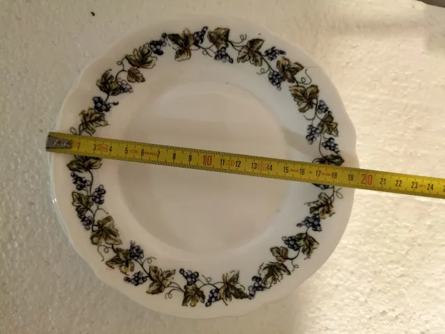 Servizio piatti Arcopal 6 persone