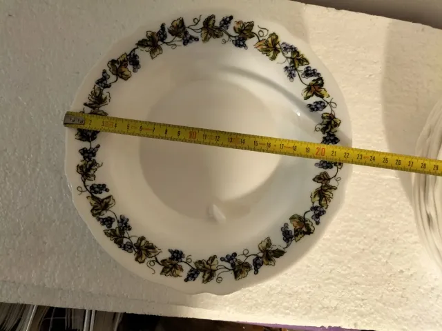 Servizio piatti Arcopal 6 persone