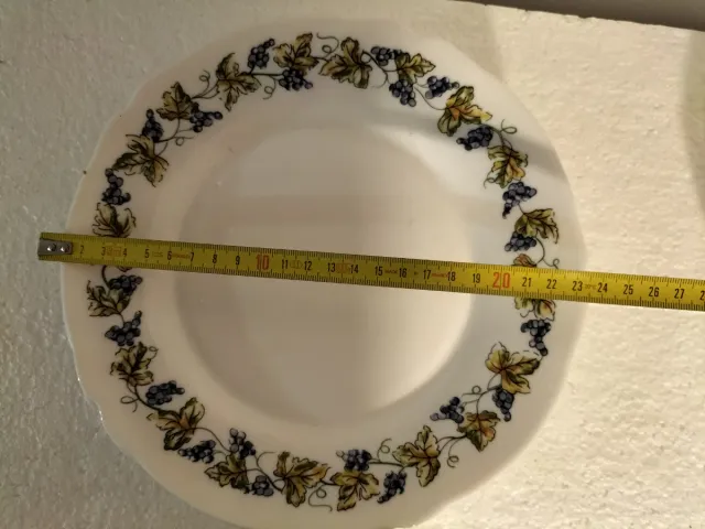 Servizio piatti Arcopal 6 persone