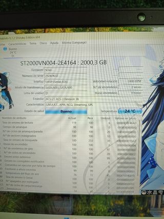 Disco Duro Seagate IronWolf 2TB