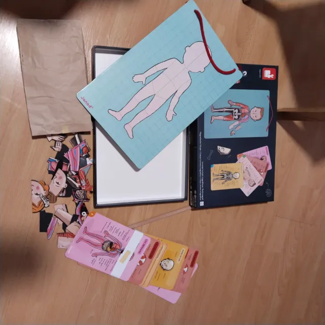 Cuerpo Humano Magnético Janod 7-12 años