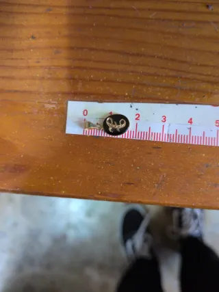 Colgantes Letras Oro 18k y Ónix