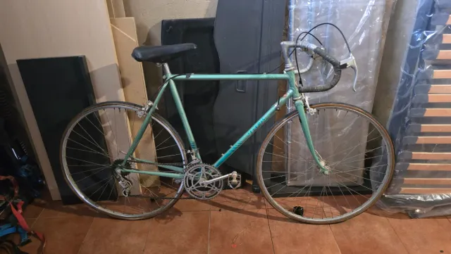 Bicicleta clásica verde negociable