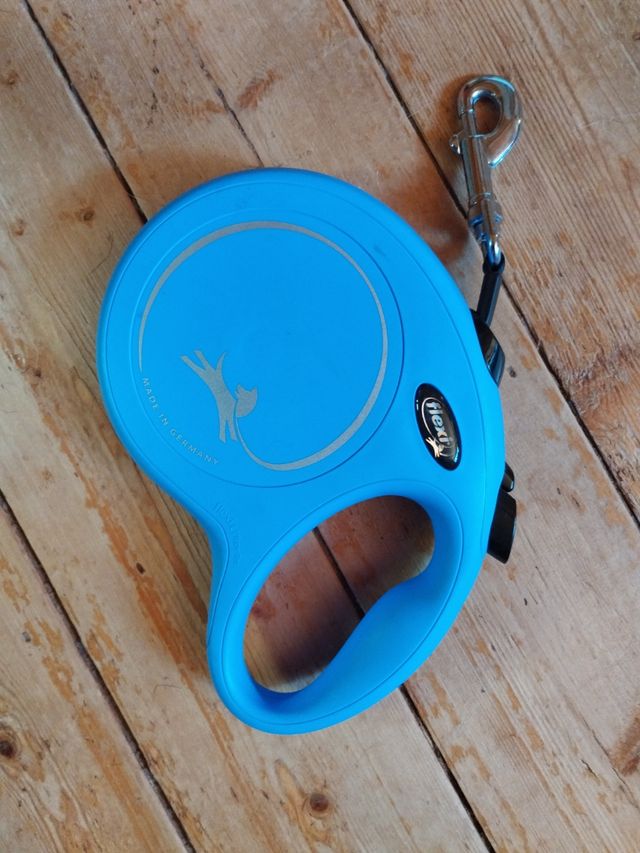 Correa Flexi L cinta 8m