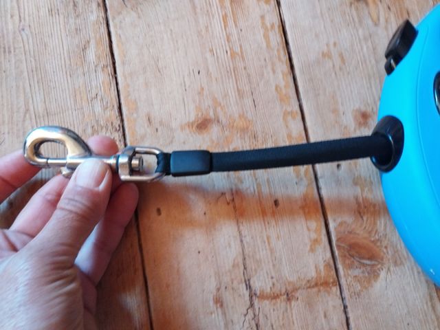 Correa Flexi L cinta 8m