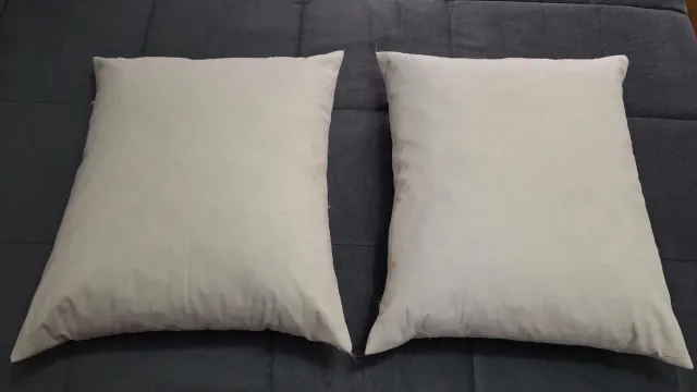 2 Almohadas de plumón de pato