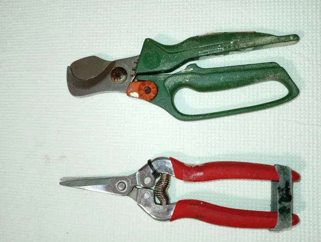 Tijeras de podar y tijeras de jardín