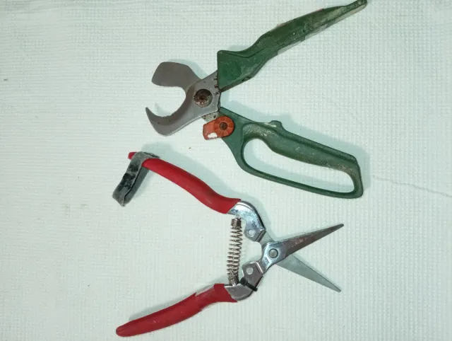 Tijeras de podar y tijeras de jardín