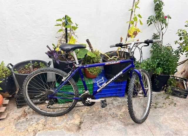 Bicicleta en color Azul