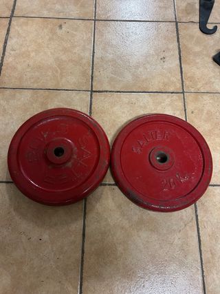 Pareja discos Salter 20kg